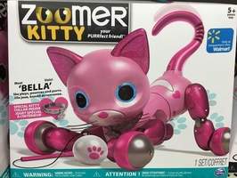 Kitty Robot