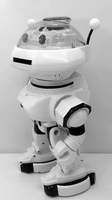 Robo Robbie Robot