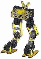 Biped-Scout Robots