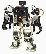 Ironman Small Robots