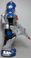 Leader Robot