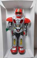 Leader Robot
