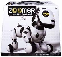 Zoomer Robot