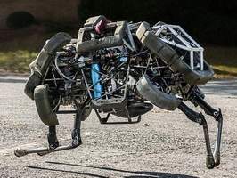 Alpha Dog Robot