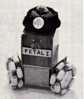 Fetal Robot